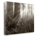 thumbnail image 1 of "Light Rays" By Dennis Frates, Fine Art Giclee Print on Gallery Wrap Canvas, Ready to Hang, 1 of 1