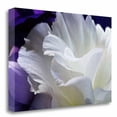 thumbnail image 1 of Tangletown Fine Art Lisianthus By Amalia Veralli,  Gallery Wrap Canvas, 1 of 2
