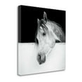 thumbnail image 1 of Tangletown Fine Art Lonesome Gray by Lisa Cueman Poster Frame - 30 x 30 x 1.5 in., 1 of 2