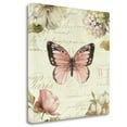 thumbnail image 1 of Tangletown Fine Art 'Marche de Fleurs Butterfly I' Graphic Art Print on Wrapped Canvas, 1 of 2