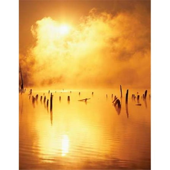 Tangletown Fine Art 'Mistified' Photographic Print on Wrapped Canvas