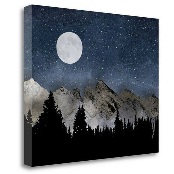 Tangletown Fine Art 'Mountains' by Amy Cummings Graphic Art on Wrapped Canvas