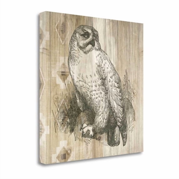 Tangletown Fine Art 'Natural History Lodge II' Graphic Art Print on Canvas