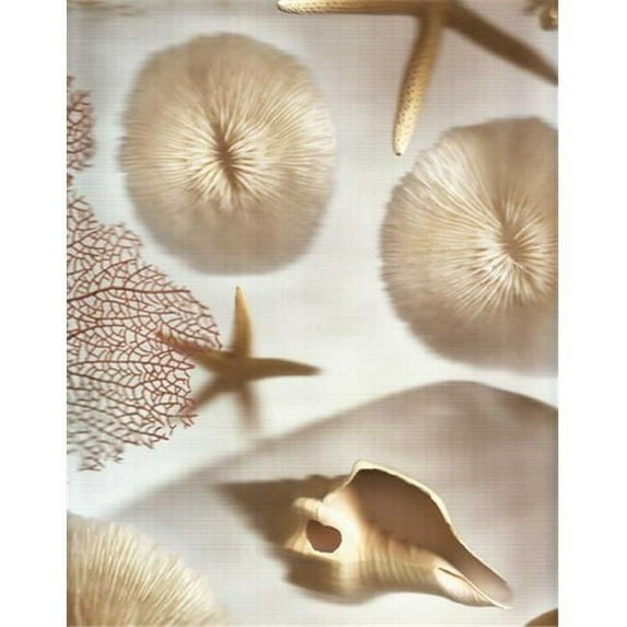 Tangletown Fine Art Nautical Illuminations No.1 by Alan Blaustein Poster Frame - 24 x 19 x 1.5 in.