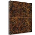 thumbnail image 1 of Tangletown Fine Art 'Northern Celestial Sphere Vintage' Graphic Art Print on Canvas, 1 of 2