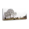 thumbnail image 1 of "Oak Tree - 24" By Alan Blaustein, Fine Art Giclee Print on Gallery Wrap Canvas, Ready to Hang, 1 of 2