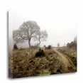thumbnail image 1 of Tangletown Fine Art 'Oak Tree - 25' Photographic Print on Wrapped Canvas, 1 of 2