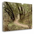 thumbnail image 1 of "Oak Tree - 51" By Alan Blaustein, Fine Art Giclee Print on Gallery Wrap Canvas, Ready to Hang, 1 of 2