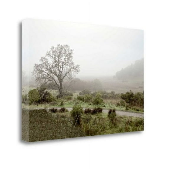 Tangletown Fine Art 'Oak Tree - 57' Photographic Print on Wrapped Canvas