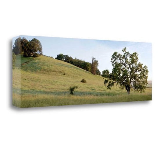 Tangletown Fine Art Oak Tree Pano - 91 by Alan Blaustein Poster Frame - 16 x 48 x 1.5 in.