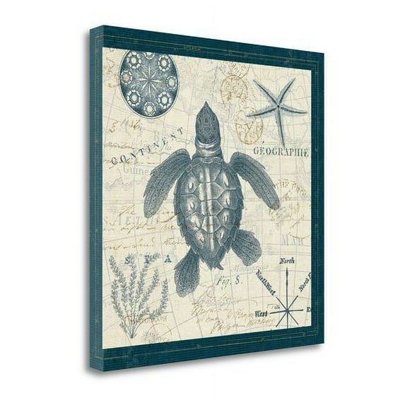 Tangletown Fine Art 'Ocean Life VI' Graphic Art on Canvas