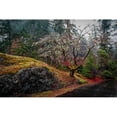 thumbnail image 1 of Tangletown Fine Art 'On the Road' Photographic Print on Wrapped Canvas, 1 of 2