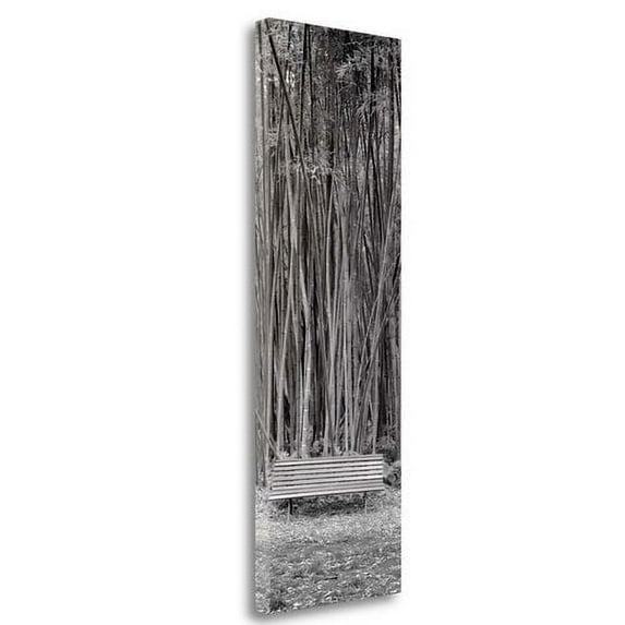 Tangletown Fine Art 'Orto Botanico - 1' Photographic Print on Wrapped Canvas