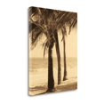 thumbnail image 1 of Tangletown Fine Art 'Palm Beach II' Photographic Print on Wrapped Canvas, 1 of 2