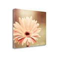 thumbnail image 1 of Tangletown Fine Art Peachy Keen by Carolyn Cochrane Poster Frame - 23 x 29 x 1.5 in., 1 of 2