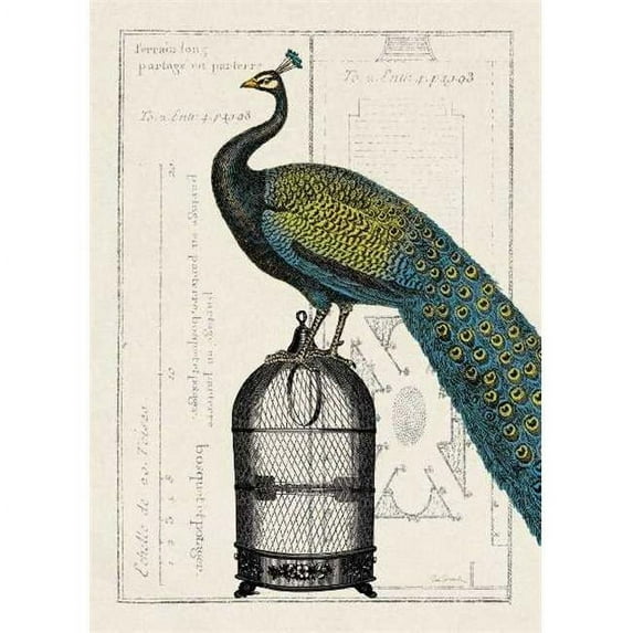 Tangletown Fine Art 'Peacock Birdcage II' Graphic Art Print on Wrapped Canvas