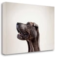 thumbnail image 1 of Tangletown Fine Art Pelei In Profile By Susan Sabo,  Gallery Wrap Canvas, 1 of 2