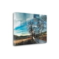 thumbnail image 1 of Tangletown Fine Art 'Penedes Vineyards' Graphic Art Print on Wrapped Canvas, 1 of 2
