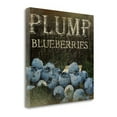 thumbnail image 1 of Tangletown Fine Art 'Plump Blueberries' Vintage Advertisement on Canvas, 1 of 3