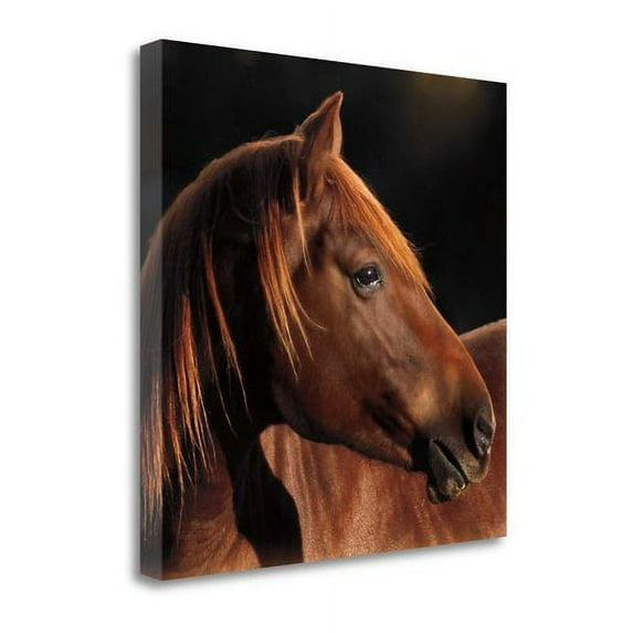 35"x35" Pretty Girl by Wendy Caro - Wall Art Print on Canvas Fabric Multi-Color