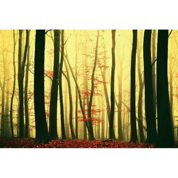 Tangletown Fine Art Red Leaves by Lars Van De Goor Poster Frame - 26 x 39 x 1.5 in.