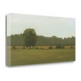 thumbnail image 1 of "Resting Place" By Megan Lightell, Fine Art Giclee Print on Gallery Wrap Canvas, Ready to Hang, 1 of 2
