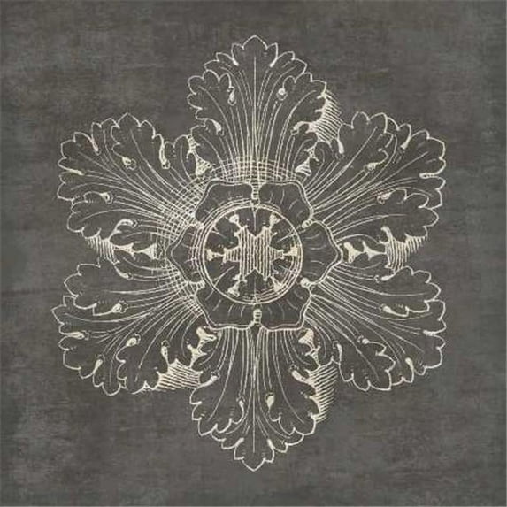 Rosette V Gray By Wild Apple Portfolio, 24" x 24" Fine Art Giclee Print on Gallery Wrap Canvas, Ready to Hang