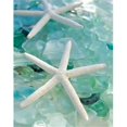thumbnail image 1 of Tangletown Fine Art Seaglass 1 by Alan Blaustein Poster Frame - 21 x 16 x 1.5 in., 1 of 2