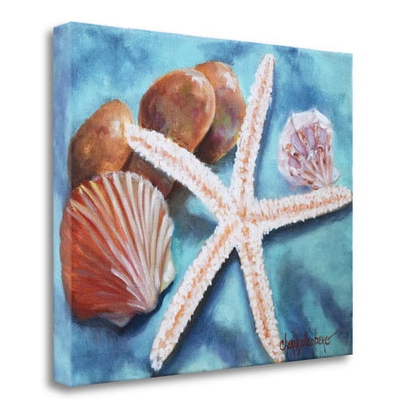 Seashells And Rocks #6 By Cheri Wollenberg, 21" x 17" Fine Art Giclee Print on Gallery Wrap Canvas, Ready to Hang