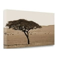 thumbnail image 1 of Tangletown Fine Art Serengeti Horizons I By Jeff,  Gallery Wrap Canvas 39 x 20, 1 of 2