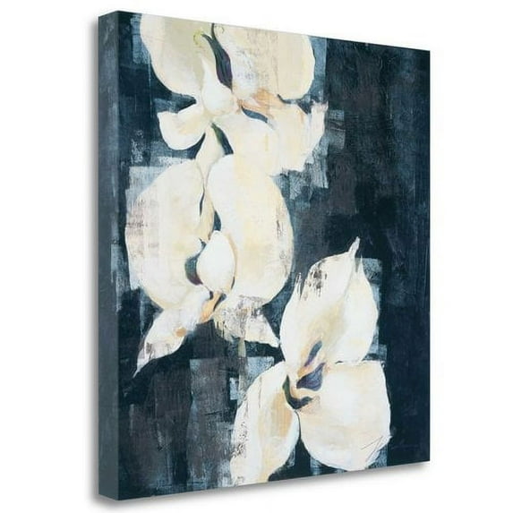 Tangletown Fine Art Shadow Orchids II By Liz Jardine, Gallery Wrap Canvas