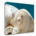 thumbnail image 1 of Tangletown Fine Art Shell Quartet by Dina Marie Poster Frame - 18 x 24 x 1.5 in., 1 of 3