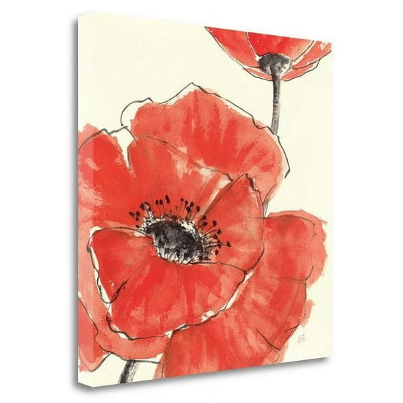 20" x 20" Spring Poppy II By Chris Paschke - Print on Canvas Fabric Multi-Color