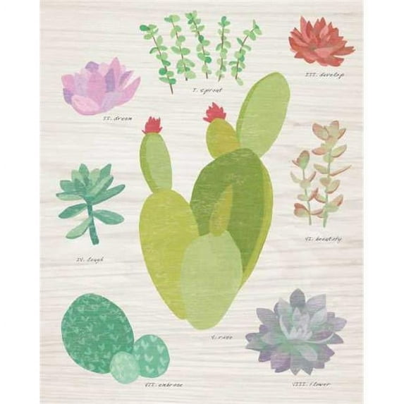Tangletown Fine Art Succulent Chart III On Wood by Wild Apple Portfolio Poster Frame - 28 x 23 x 1.5 in.
