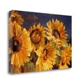 thumbnail image 1 of Tangletown Fine Art Sunflower By Emma Styles,  Gallery Wrap Canvas, 1 of 2