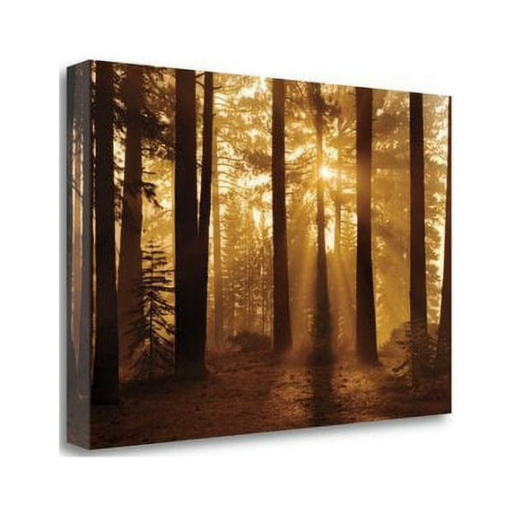 Tangletown Fine Art 'Tahoe Smoky Sunrise' Photographic Print on Wrapped Canvas