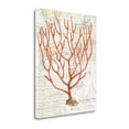 thumbnail image 1 of Tangletown Fine Art 'Textured Coral I' by Avery Tillmon Graphic Art on Wrapped Canvas, 1 of 2