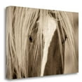 thumbnail image 1 of Tangletown Fine Art 'The Blonde' Photographic Print on Wrapped Canvas, 1 of 2
