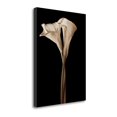 thumbnail image 1 of Tangletown Fine Art 'The Embrace' Graphic Art Print on Wrapped Canvas, 1 of 2