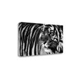 thumbnail image 1 of Tangletown Fine Art Tiger Eyes by Xavier Ortega Poster Frame - 17 x 34 x 1.5 in., 1 of 2