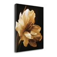 thumbnail image 1 of Tangletown Fine Art 'Timeless Grace I' by Charles Britt Photographic Print on Wrapped Canvas, 1 of 3