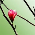 thumbnail image 1 of Tangletown Art, 30 x 30 "Tulip Tree 3 " by PhotoINC Studio, Gallery Wrap Canvas, 1 of 2