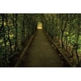 thumbnail image 1 of Tunnel Of Shrub II By Dennis Frates, 39" x 26" Fine Art Giclee Print on Gallery Wrap Canvas, Ready to Hang, 1 of 2