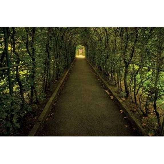 Tunnel Of Shrub II By Dennis Frates, 39" x 26" Fine Art Giclee Print on Gallery Wrap Canvas, Ready to Hang
