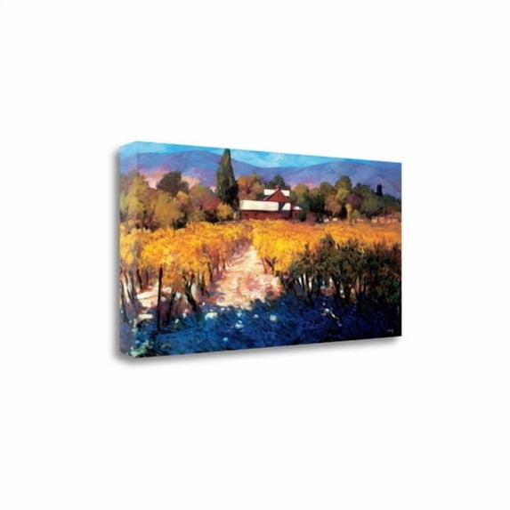 Tangletown Fine Art Vineyard Afternoon by Philip Craig Poster Frame - 17 x 34 x 1.5 in.