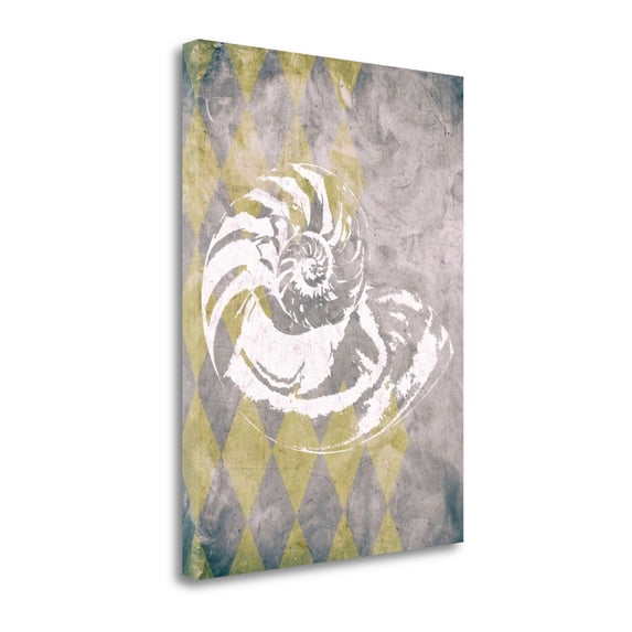 Vintage Harlequin Shell 1 By Alicia Soave, 21" x 29" Fine Art Giclee Print on Gallery Wrap Canvas, Ready to Hang