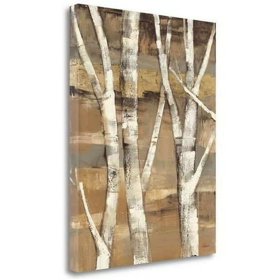 Tangletown Fine Art Wandering Through The Birches I By Albena Hristova, Gallery Wrap Canvas