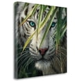 thumbnail image 1 of Watching And Waiting By Colin Bogle, Fine Art  Print on Gallery Canvas, Ready to Hang, 1 of 2