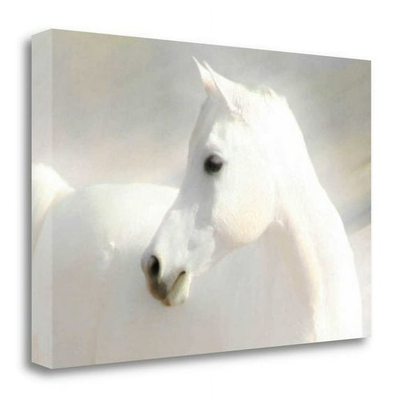 Tangletown Fine Art 'White Arab IV' Photographic Print on Wrapped Canvas