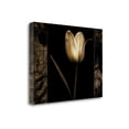 thumbnail image 1 of Tangletown Fine Art White Tulipa I by Rick Filler Poster Frame - 21 x 29 x 1.5 in., 1 of 2